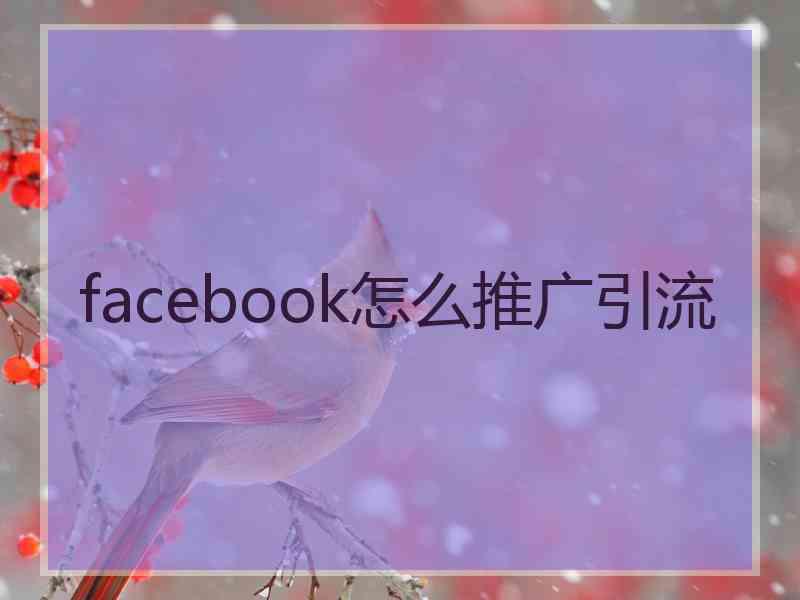 facebook怎么推广引流