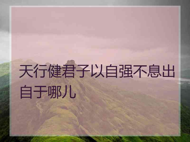 天行健君子以自强不息出自于哪儿