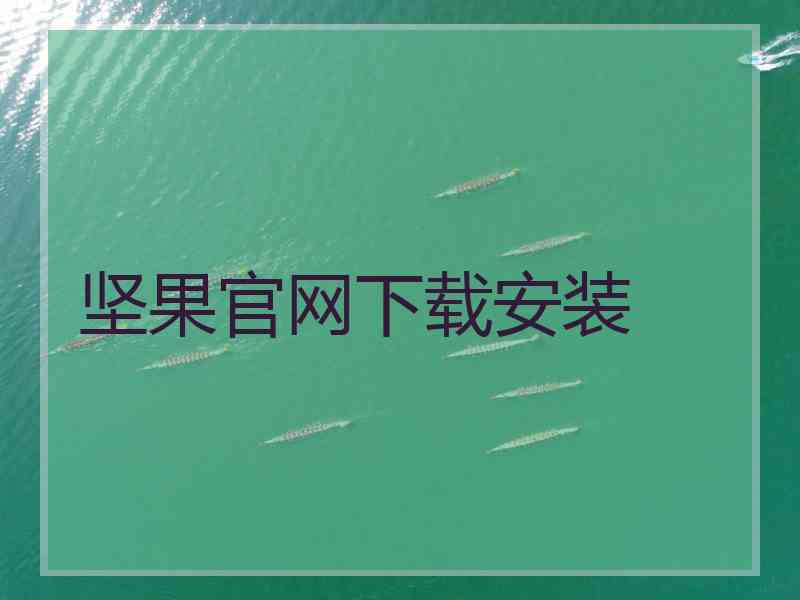 坚果官网下载安装