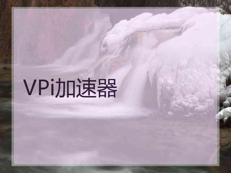 VPi加速器