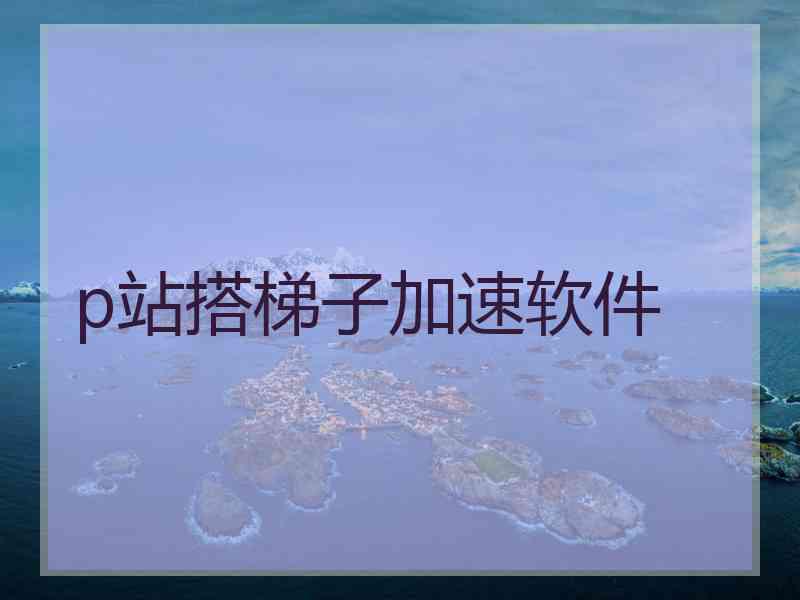 p站搭梯子加速软件