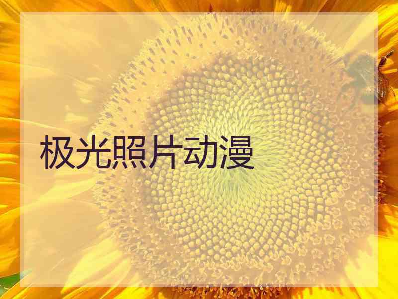 极光照片动漫