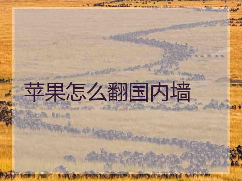 苹果怎么翻国内墙