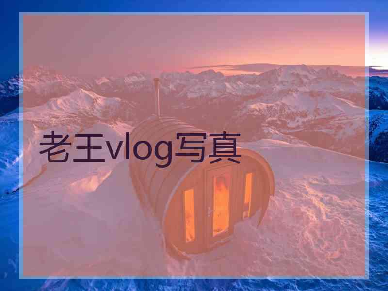 老王vlog写真