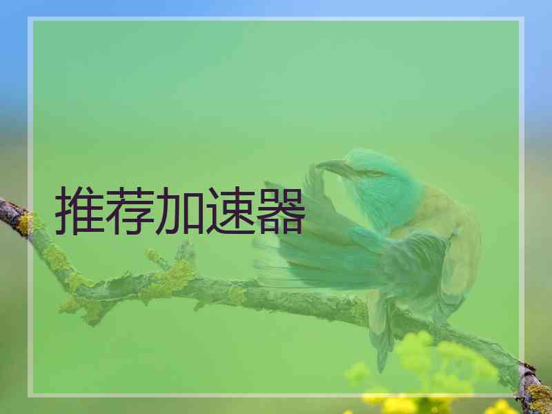 推荐加速器