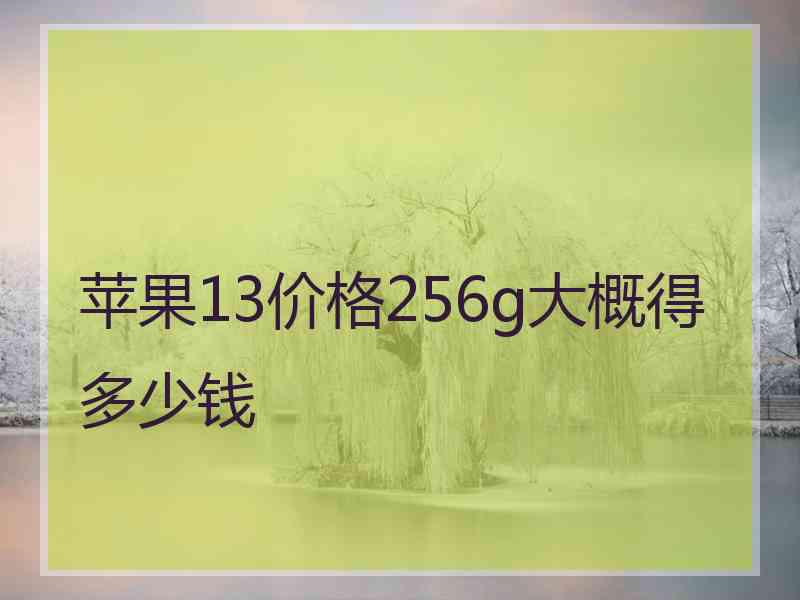 苹果13价格256g大概得多少钱
