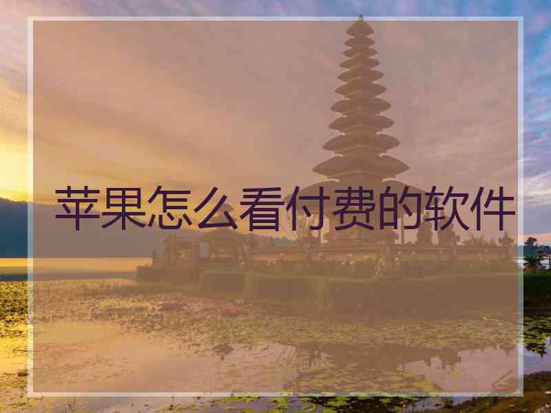 苹果怎么看付费的软件