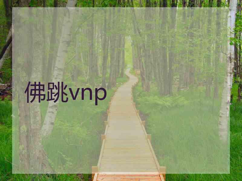 佛跳vnp