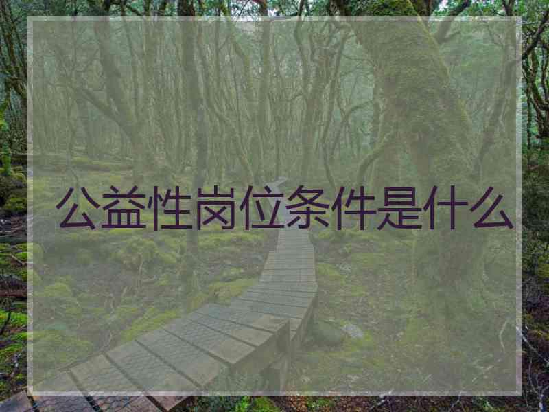 公益性岗位条件是什么