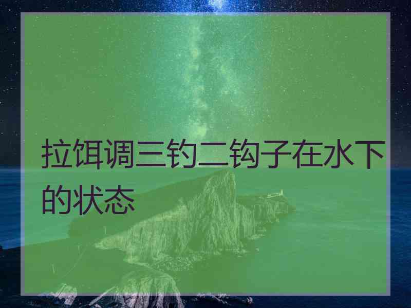 拉饵调三钓二钩子在水下的状态