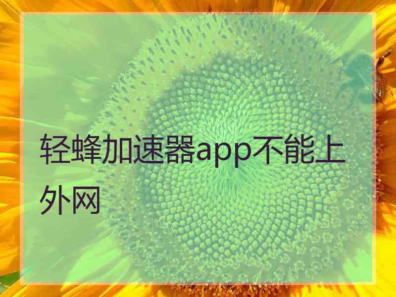 轻蜂加速器app不能上外网