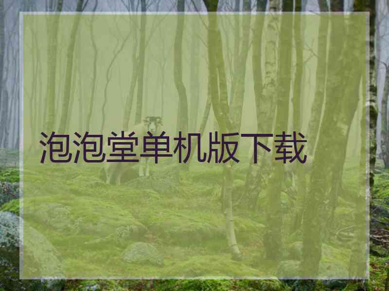 泡泡堂单机版下载