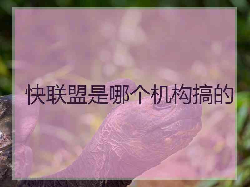 快联盟是哪个机构搞的