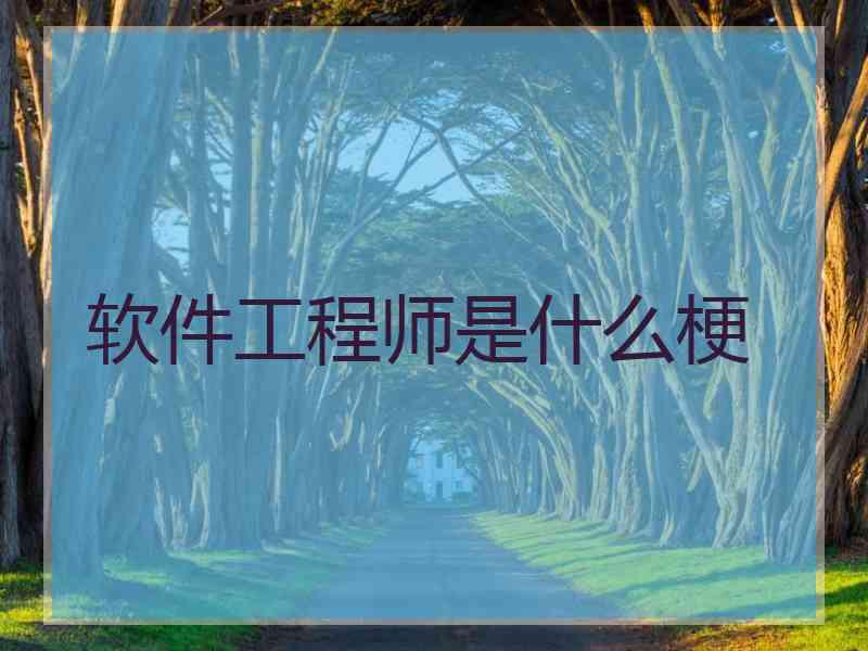 软件工程师是什么梗