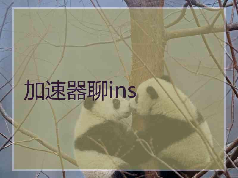加速器聊ins