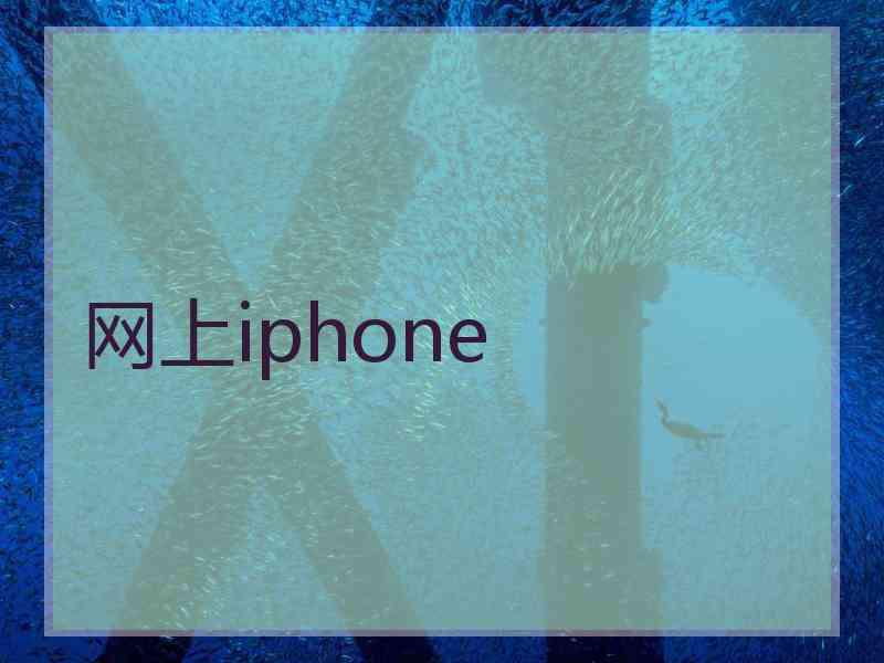网上iphone