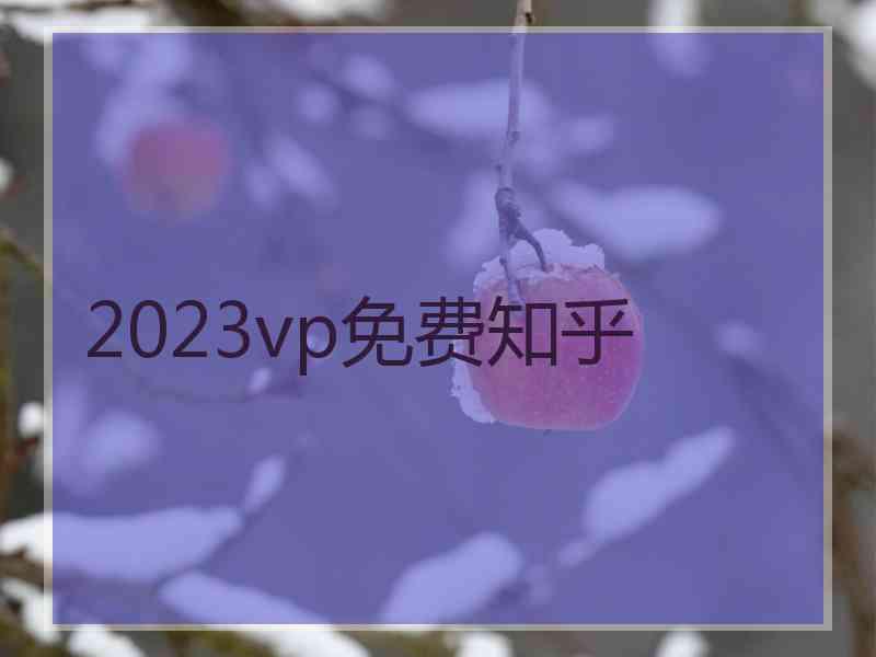 2023vp免费知乎