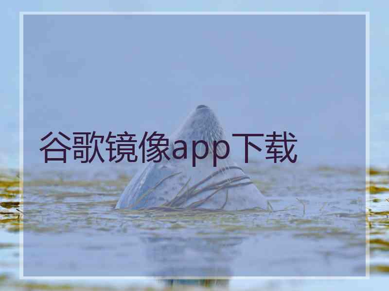 谷歌镜像app下载