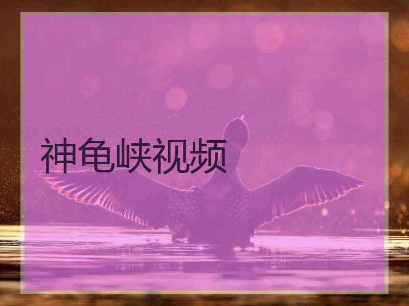 神龟峡视频
