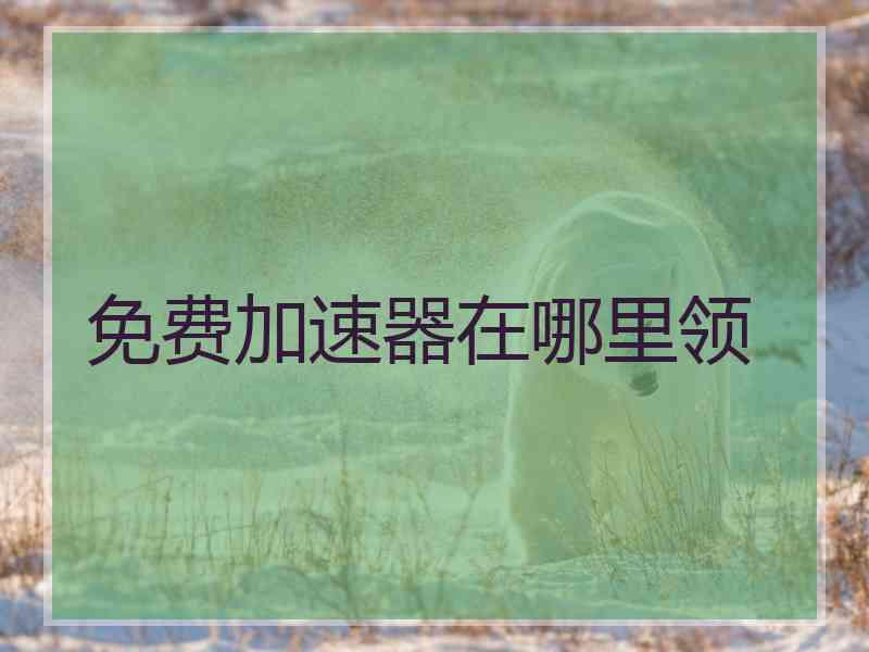 免费加速器在哪里领