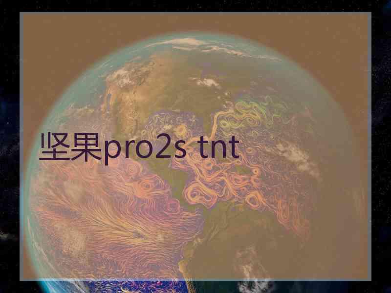 坚果pro2s tnt