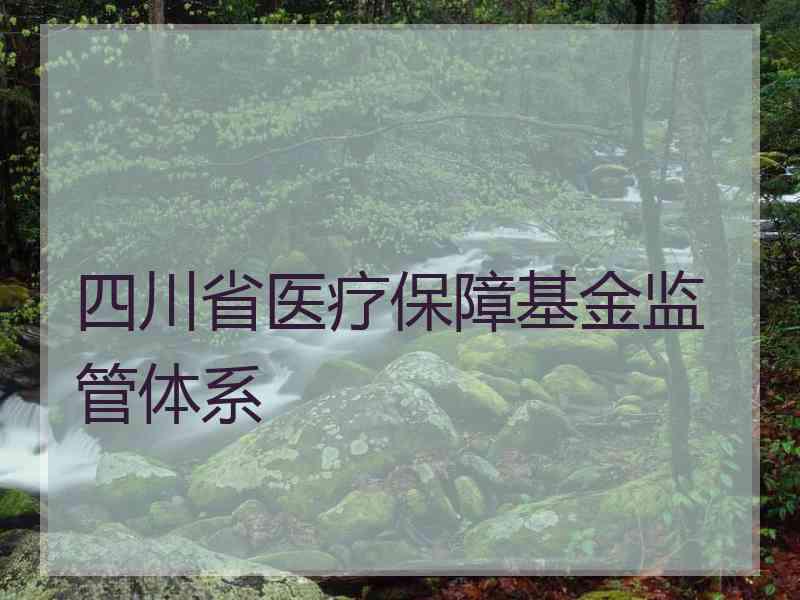 四川省医疗保障基金监管体系