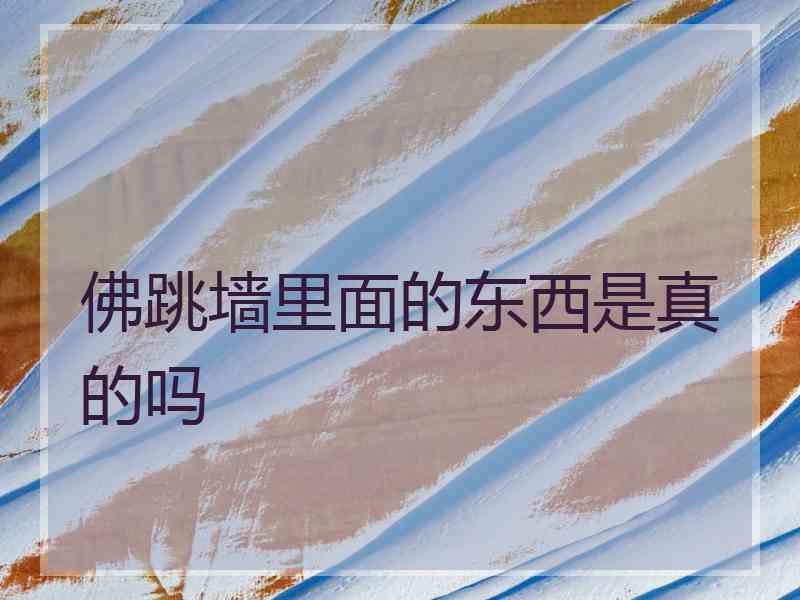 佛跳墙里面的东西是真的吗
