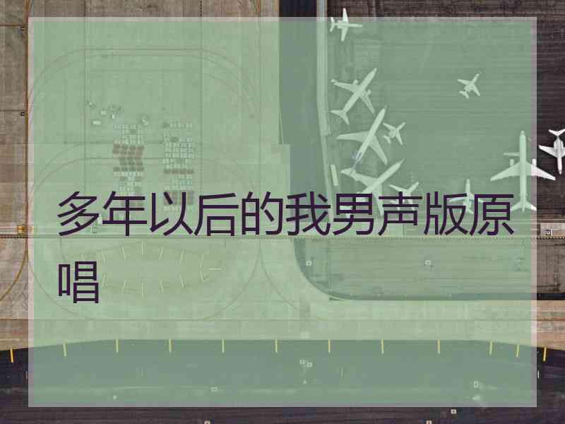 多年以后的我男声版原唱