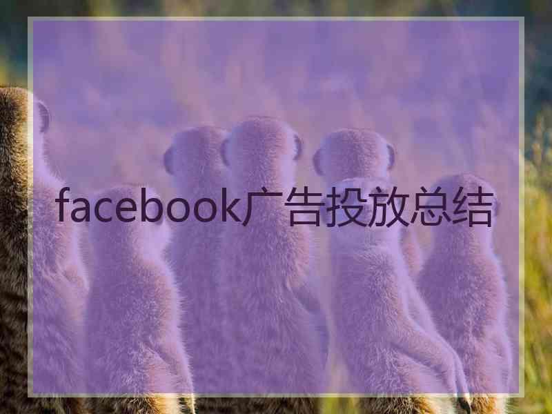 facebook广告投放总结