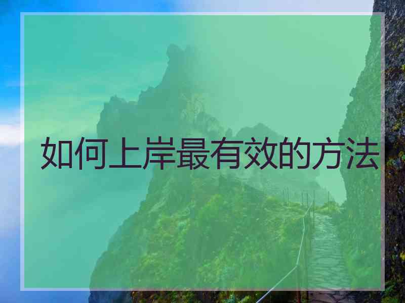 如何上岸最有效的方法