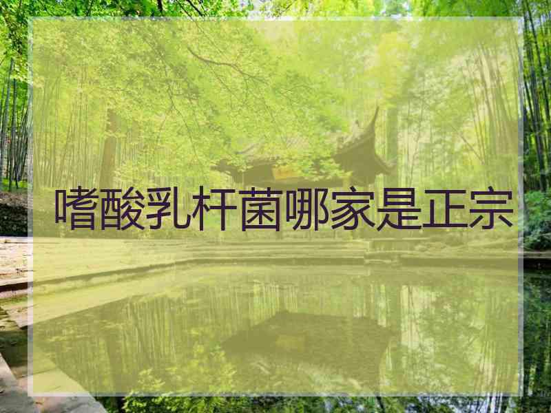 嗜酸乳杆菌哪家是正宗