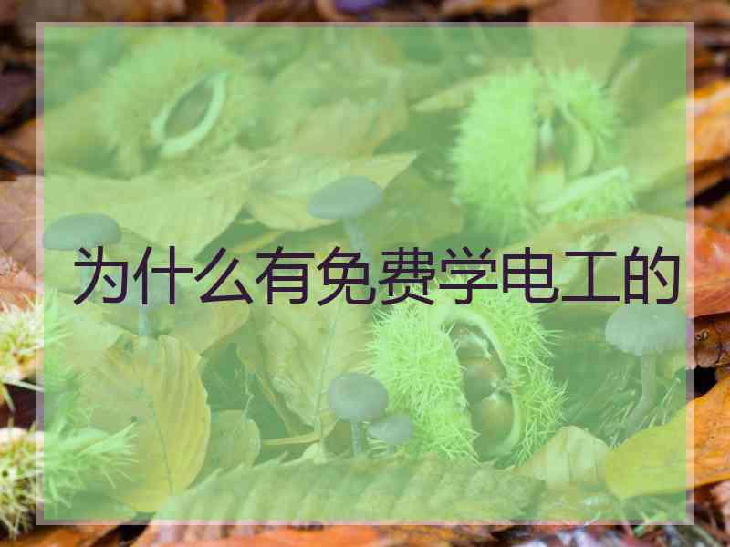 为什么有免费学电工的