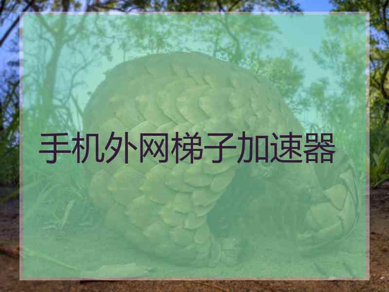 手机外网梯子加速器