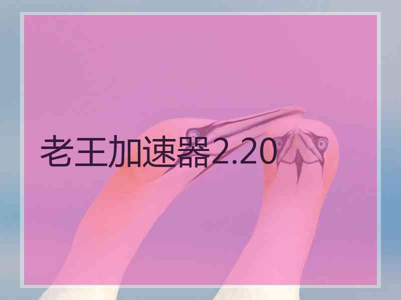 老王加速器2.20