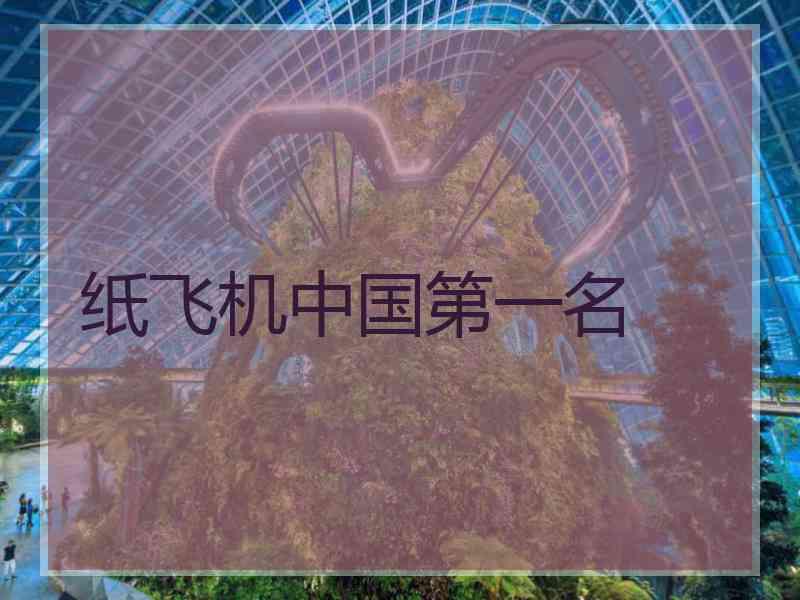 纸飞机中国第一名