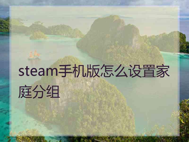 steam手机版怎么设置家庭分组