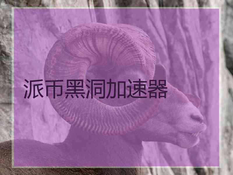 派币黑洞加速器