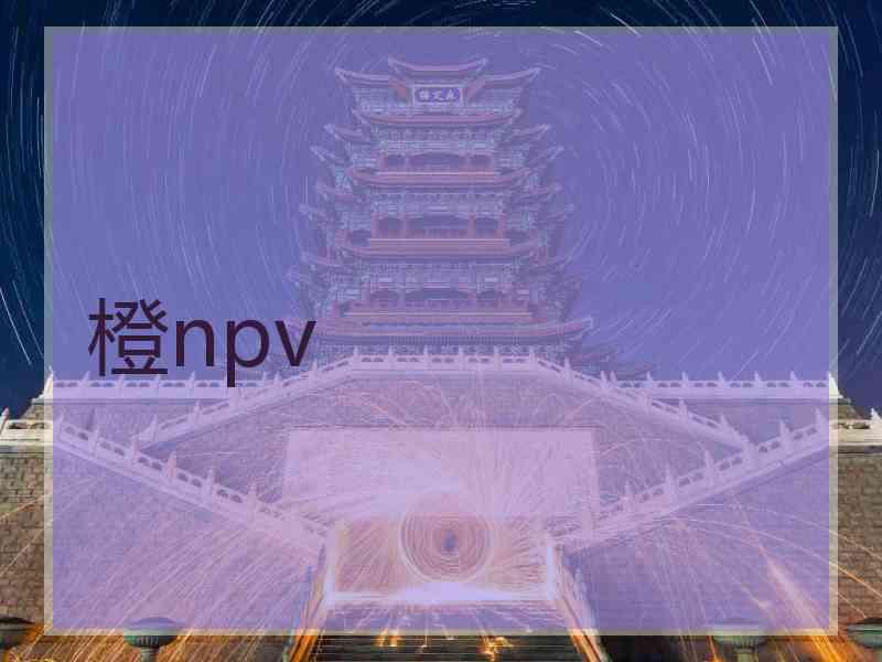 橙npv