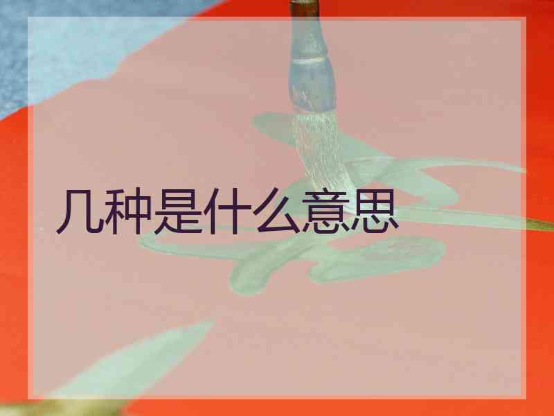几种是什么意思