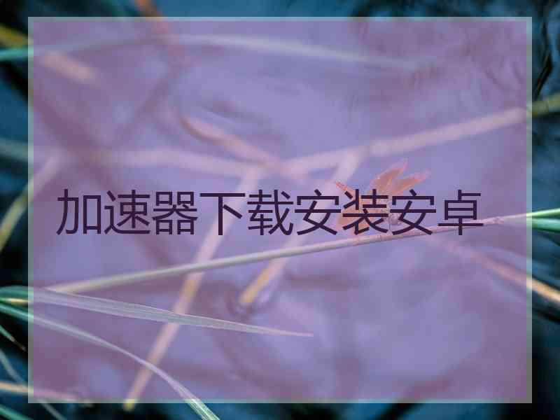 加速器下载安装安卓