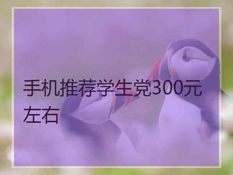 手机推荐学生党300元左右