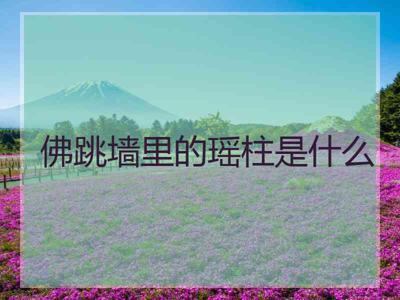 佛跳墙里的瑶柱是什么