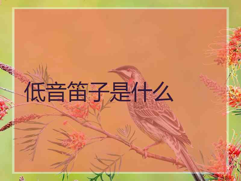 低音笛子是什么