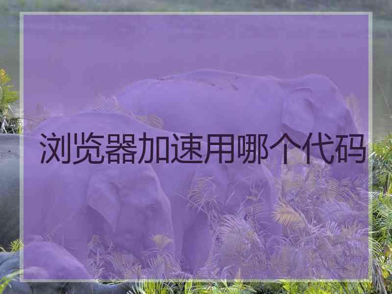 浏览器加速用哪个代码