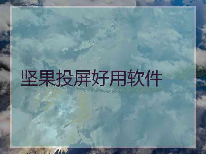 坚果投屏好用软件