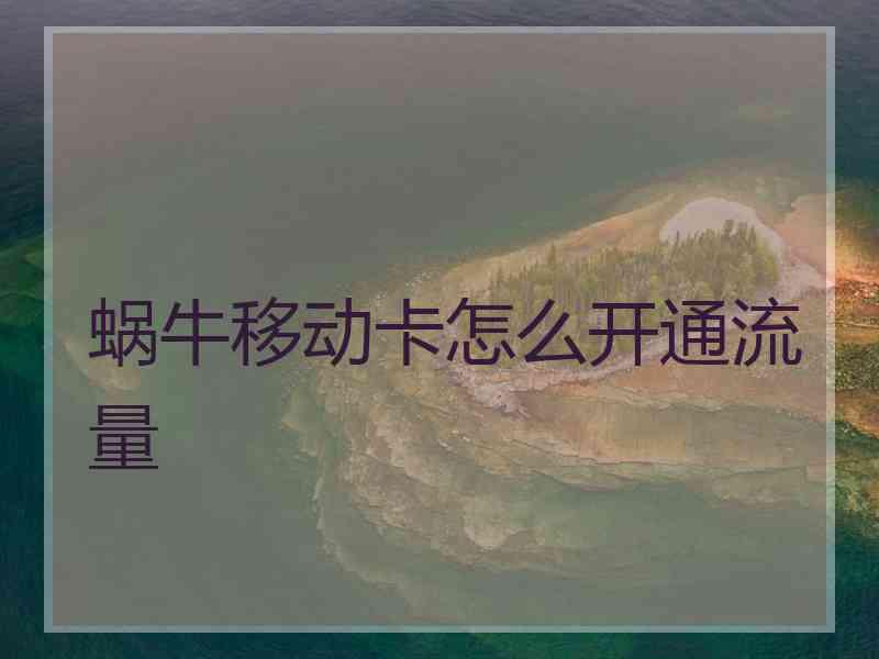 蜗牛移动卡怎么开通流量