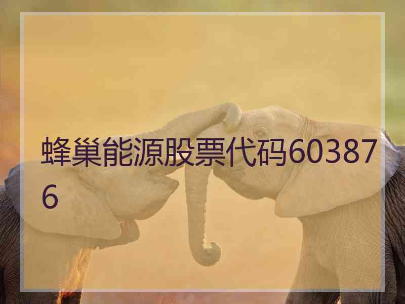 蜂巢能源股票代码603876