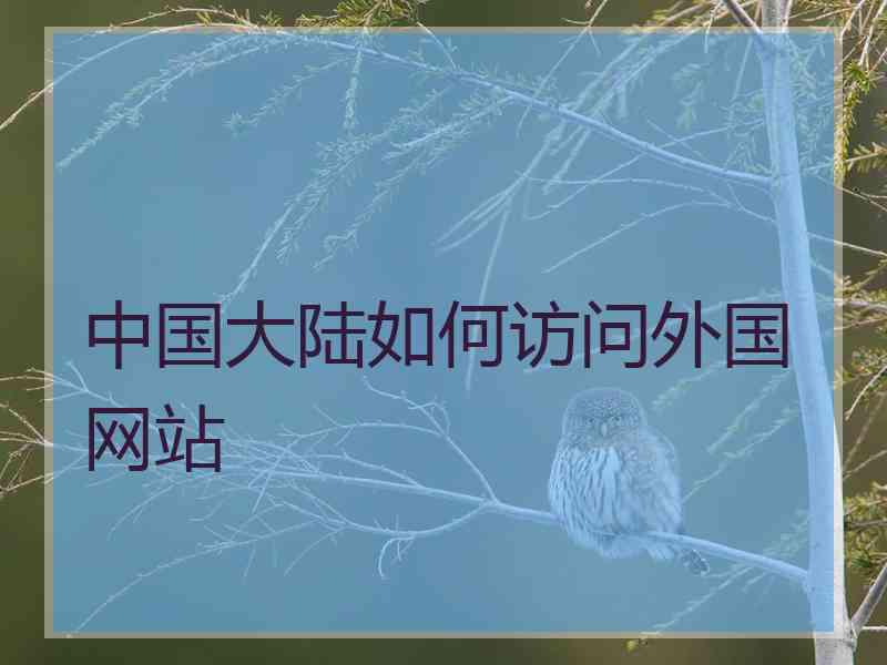 中国大陆如何访问外国网站