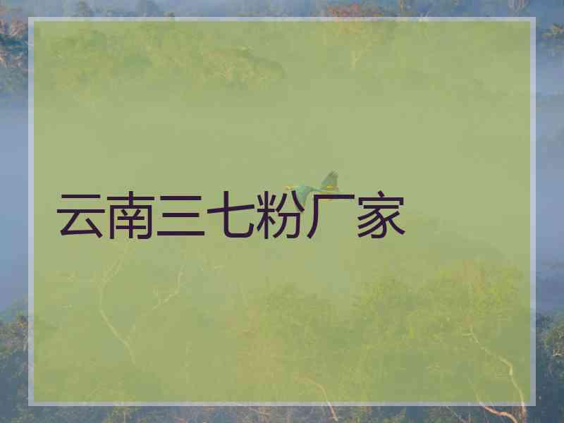 云南三七粉厂家