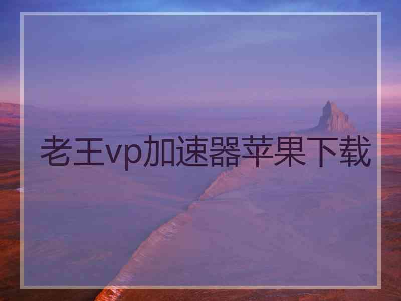 老王vp加速器苹果下载